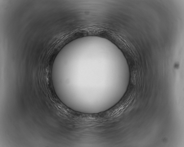 X0000101141010200806270731