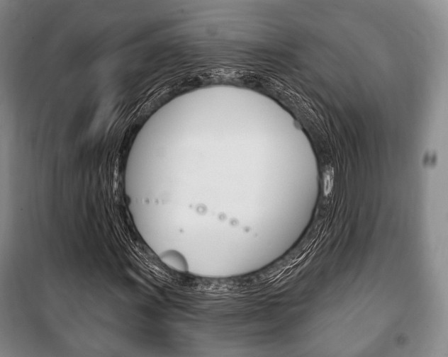 X0000101141011200806270731