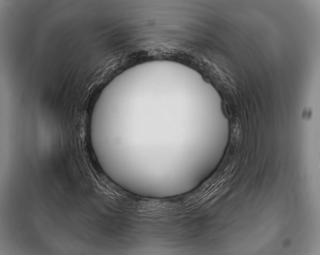 X0000101141012200806270731