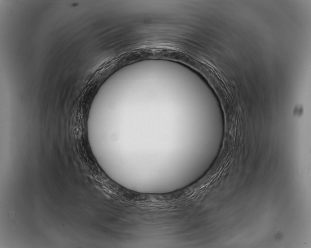 X0000101141014200806270731