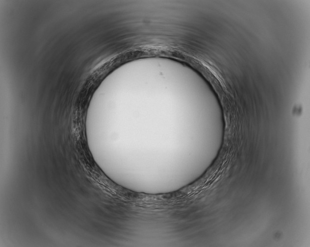 X0000101141015200806270731