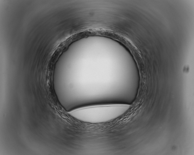 X0000101141016200806270731