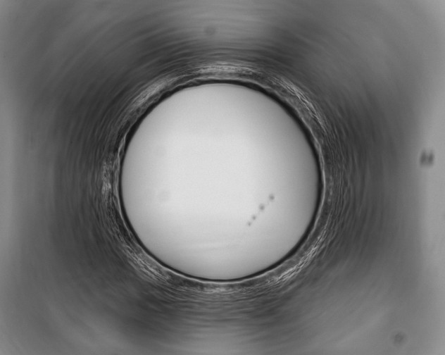 X0000101141017200806270731