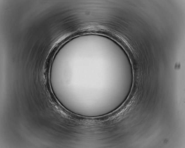 X0000101141018200806270731