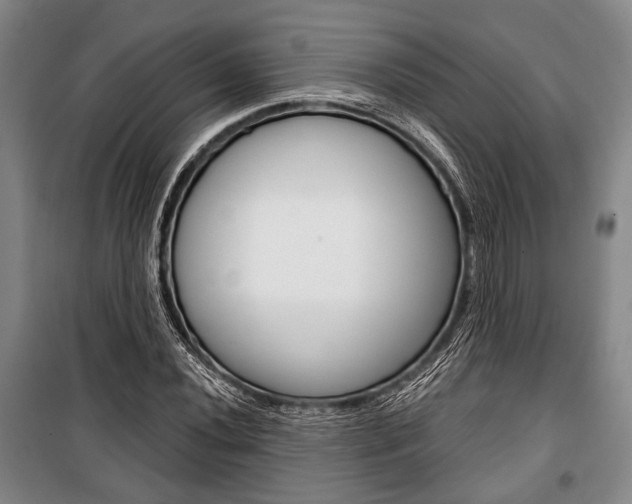 X0000101141020200806270731