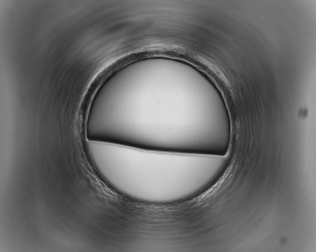 X0000101141021200806270731