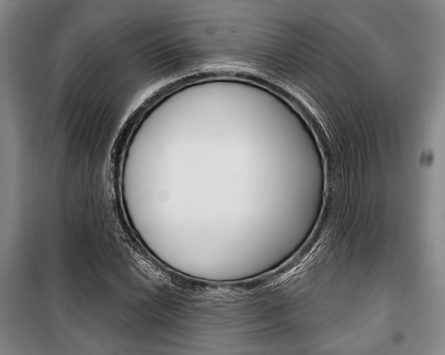 X0000101141022200806270731