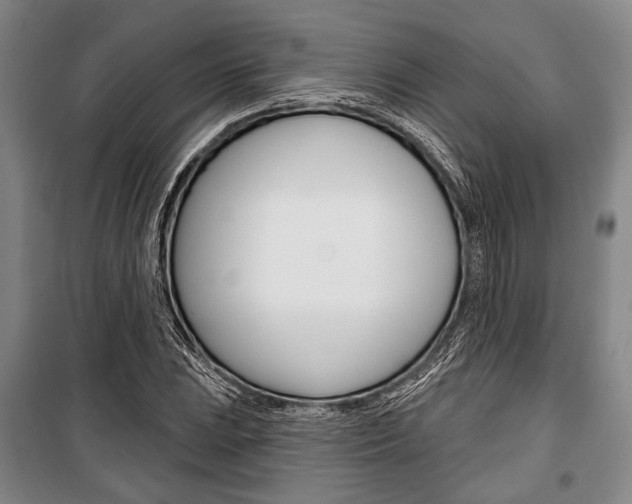 X0000101141023200806270731
