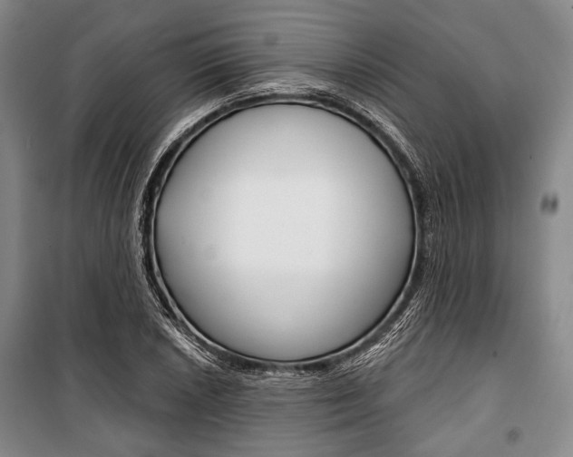 X0000101141026200806270731
