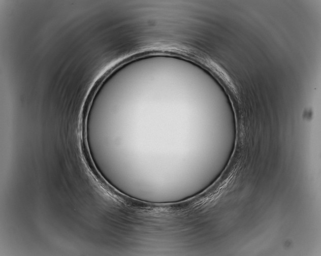 X0000101141028200806270731