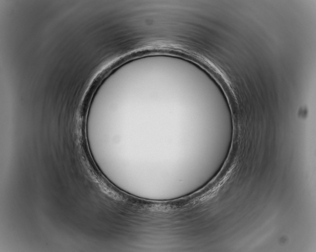 X0000101141029200806270731