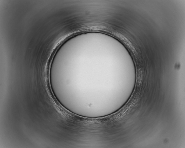 X0000101141031200806270731