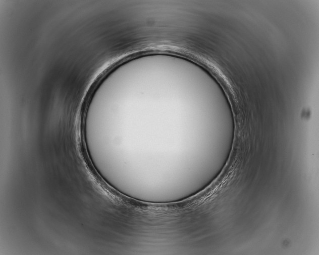 X0000101141032200806270731