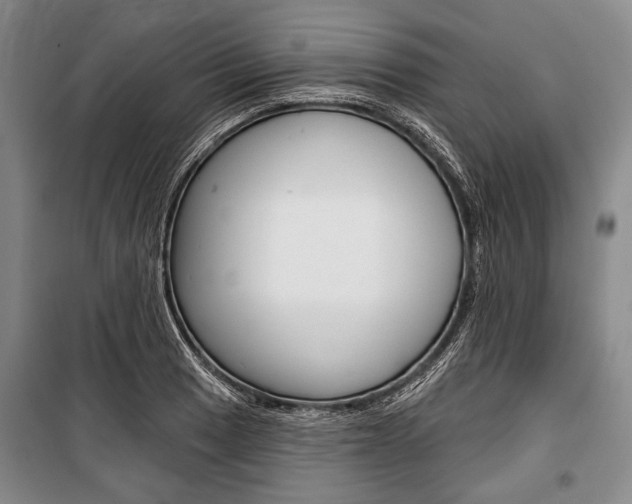 X0000101141033200806270731