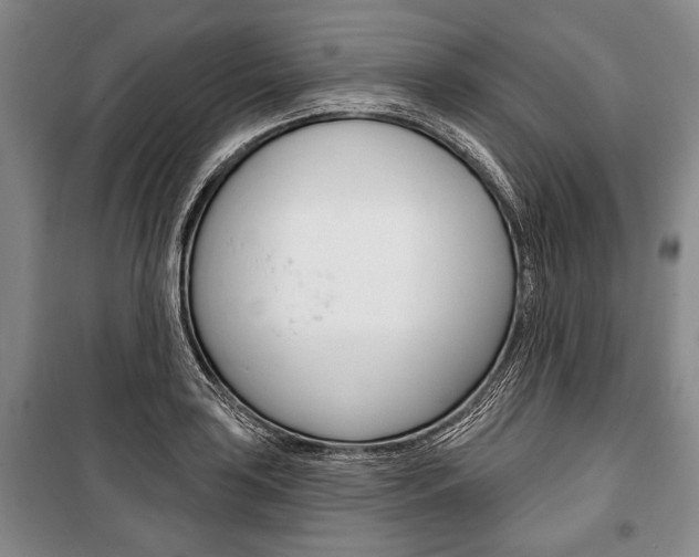 X0000101141035200806270731
