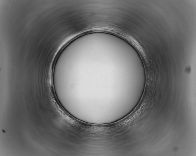 X0000101141036200806270731