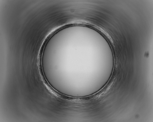 X0000101141037200806270732