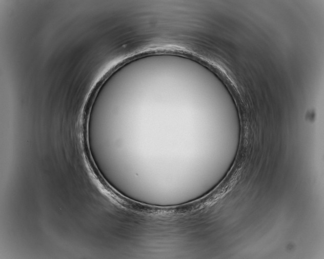 X0000101141038200806270732