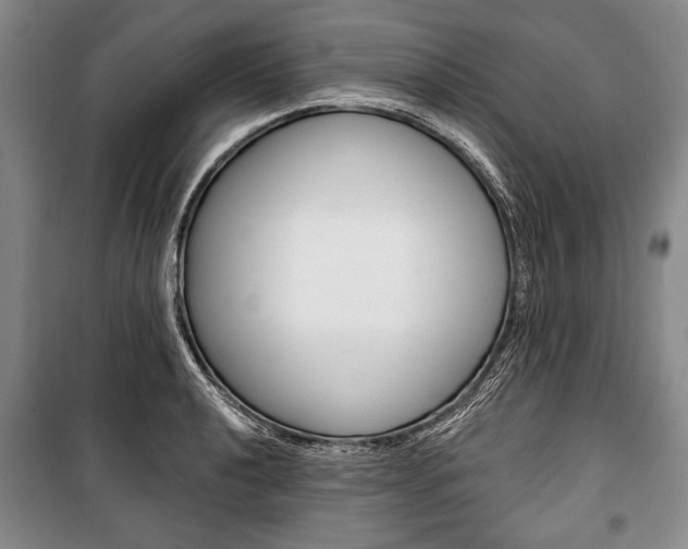 X0000101141040200806270732