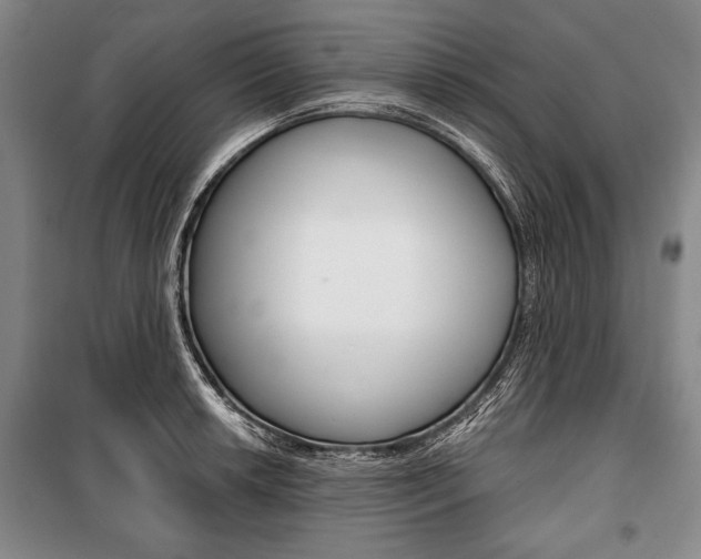 X0000101141042200806270732