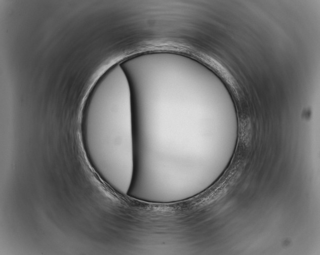 X0000101141043200806270732