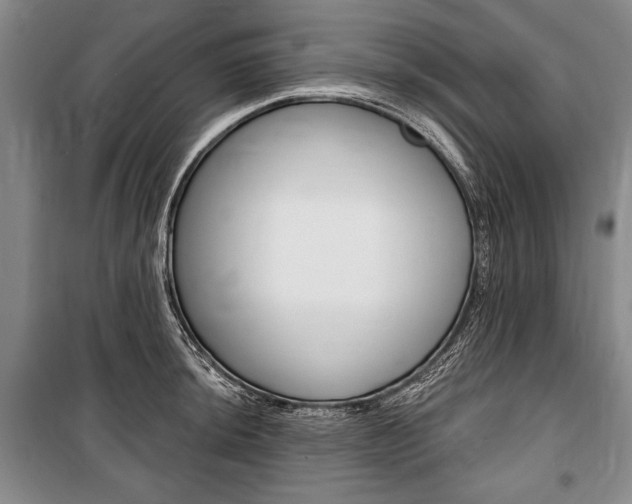 X0000101141044200806270732