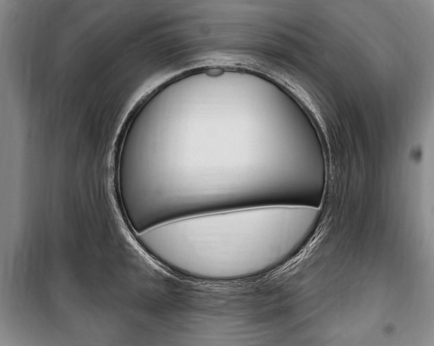 X0000101141045200806270732