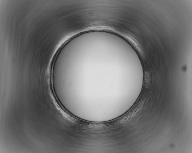 X0000101141046200806270732