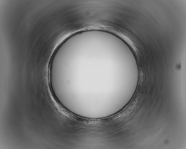 X0000101141047200806270732
