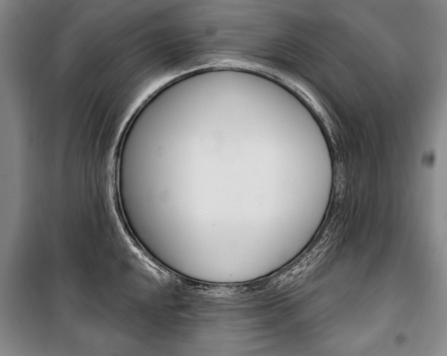 X0000101141048200806270732