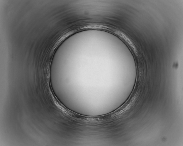 X0000101141049200806270732