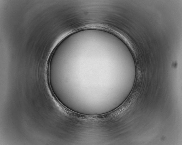 X0000101141050200806270732