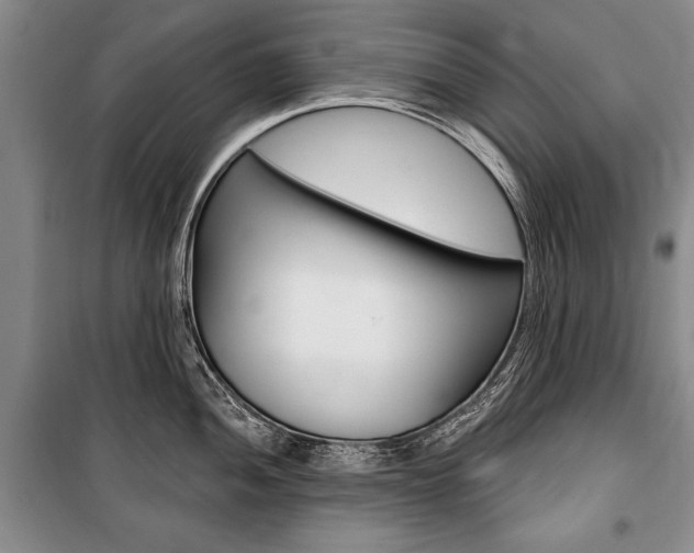 X0000101141052200806270732