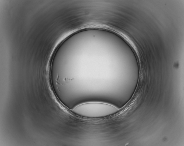 X0000101141053200806270732