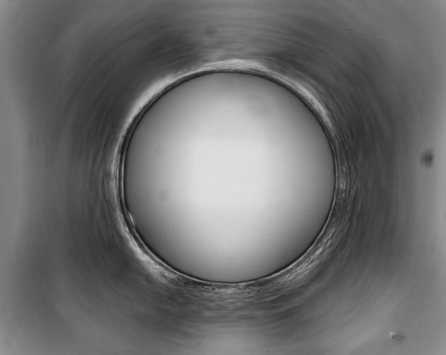 X0000101141054200806270732