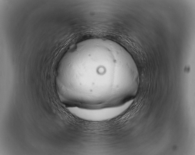 X0000101141057200806270731