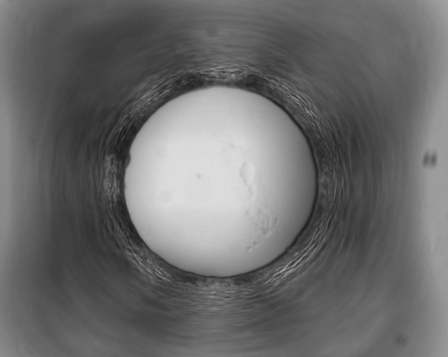 X0000101141058200806270731