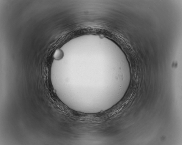 X0000101141061200806270731