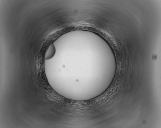X0000101141063200806270731