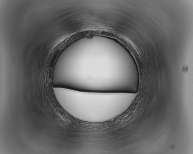 X0000101141064200806270731