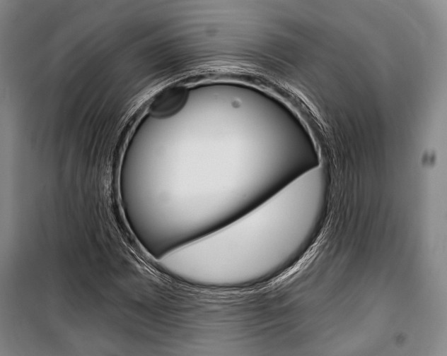 X0000101141065200806270731