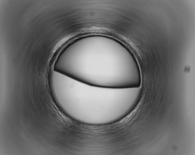 X0000101141066200806270731
