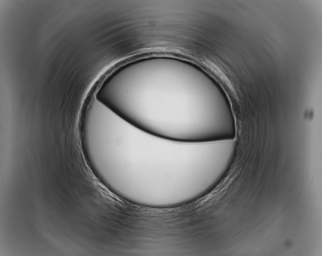 X0000101141068200806270731