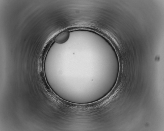 X0000101141069200806270731