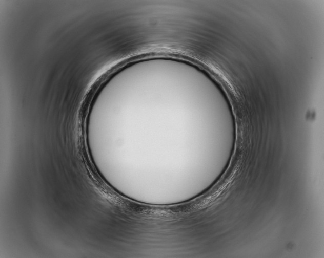 X0000101141070200806270731