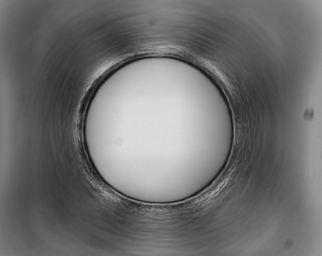 X0000101141071200806270731