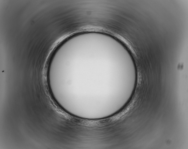X0000101141074200806270731