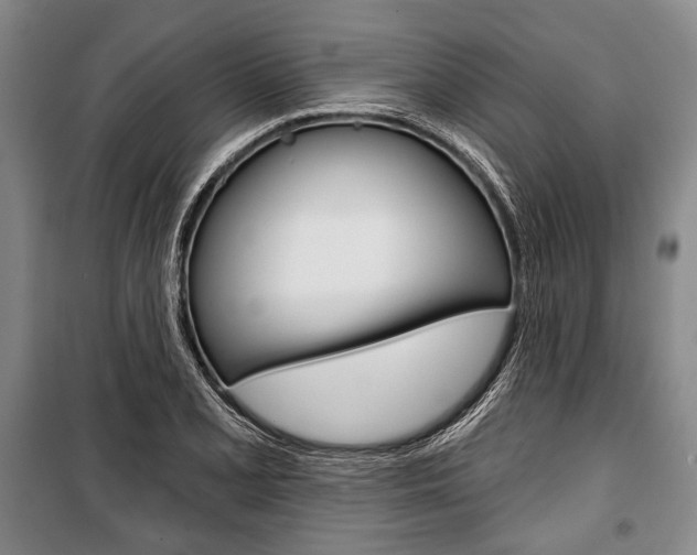 X0000101141077200806270731