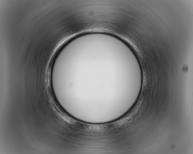 X0000101141078200806270731