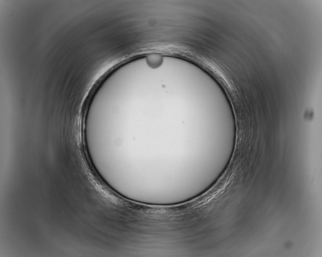 X0000101141079200806270731